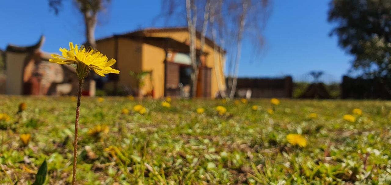 Masia Bachs Sant Pere de Vilamajor